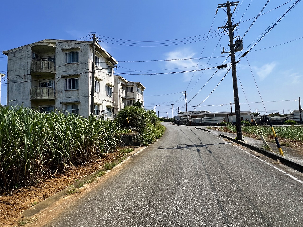 城辺福里団地横の土地　約529坪　畑
