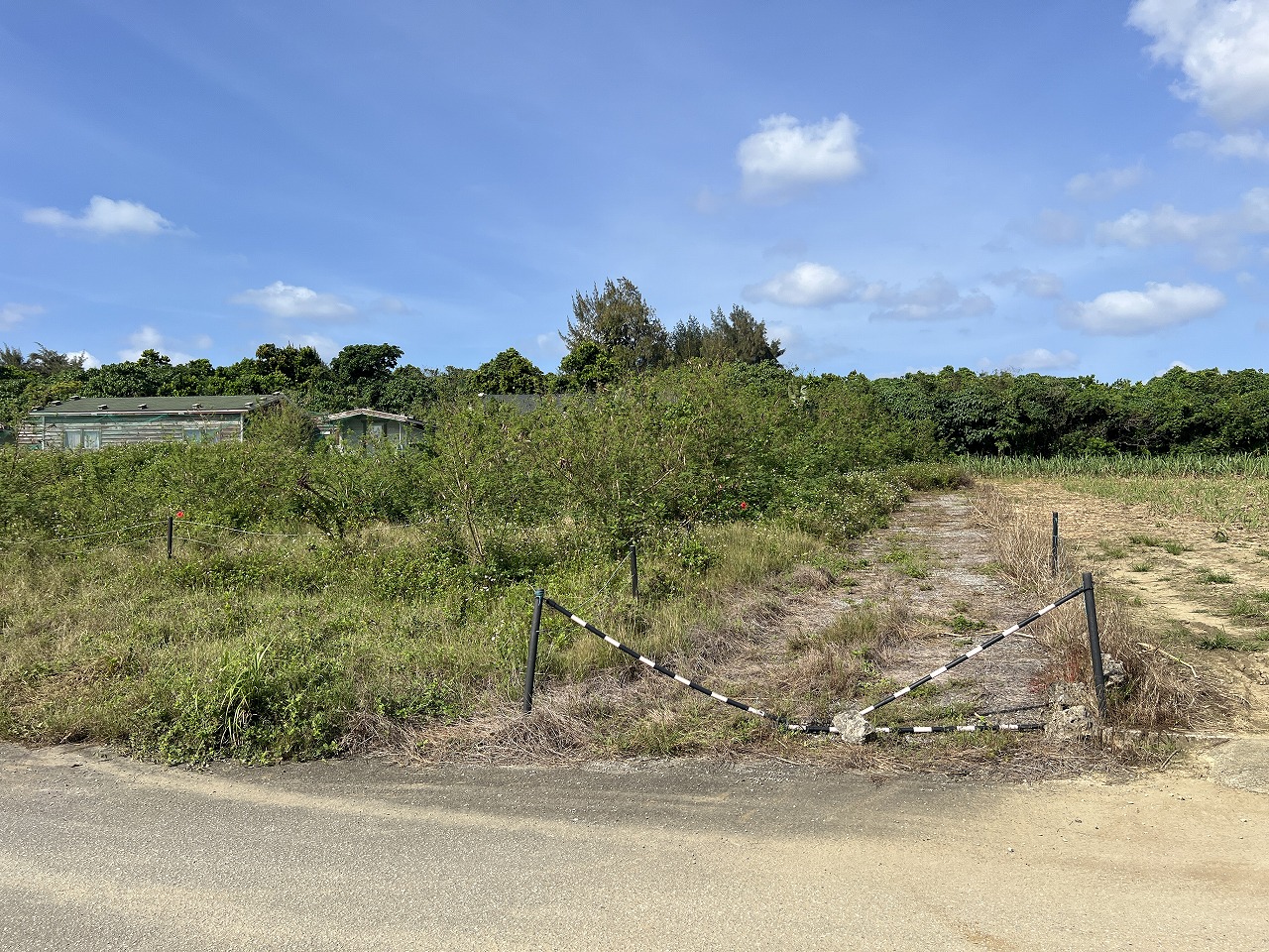城辺長間 約1,000坪の土地と雄大な景色 木造 コテージ