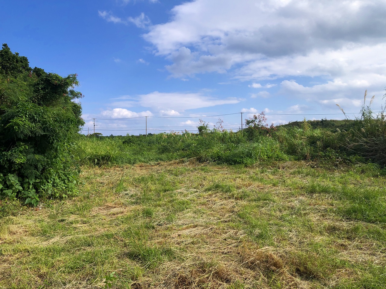大浦でスローライフを夢見て　147坪　農用地・原野