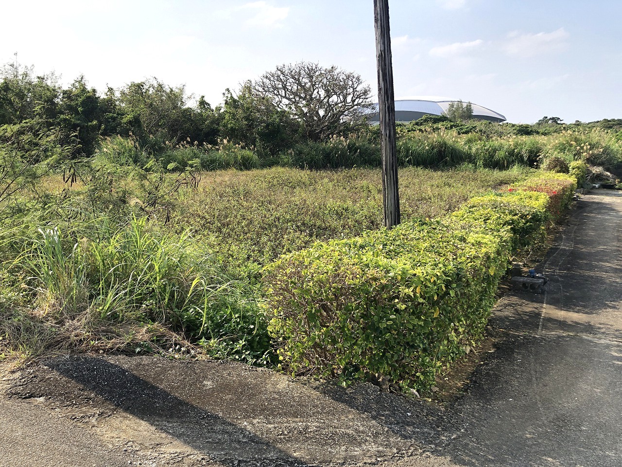 平良下里 JTAドーム南東側　2093坪　畑　農用地