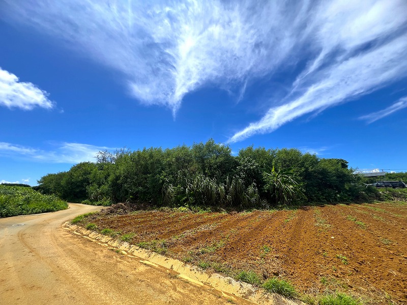 与那覇前浜ビーチ近く　約1,443坪　原野・山林