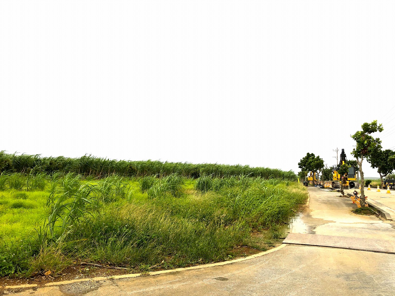 城辺友利 国道沿い　約1.5反　農用地