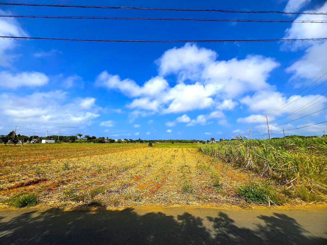 平良西里野原越公民館隣　約597坪　畑