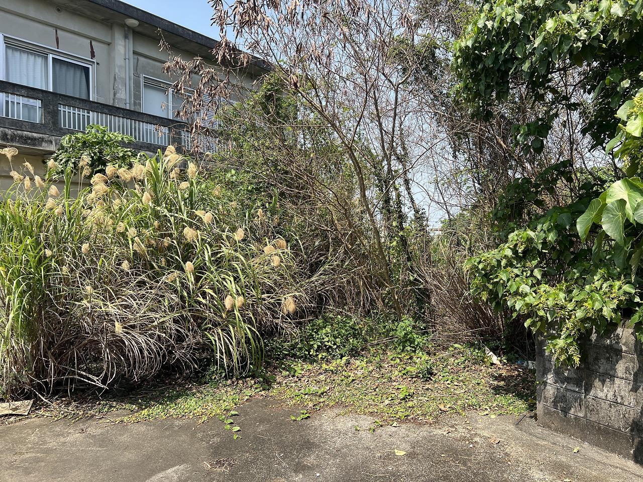 平良腰原Ｌ字型の土地 約222坪 畑