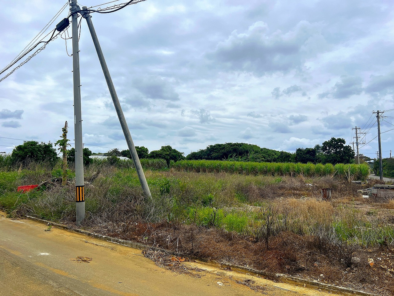 城辺長間でスローライフ 約344坪 畑
