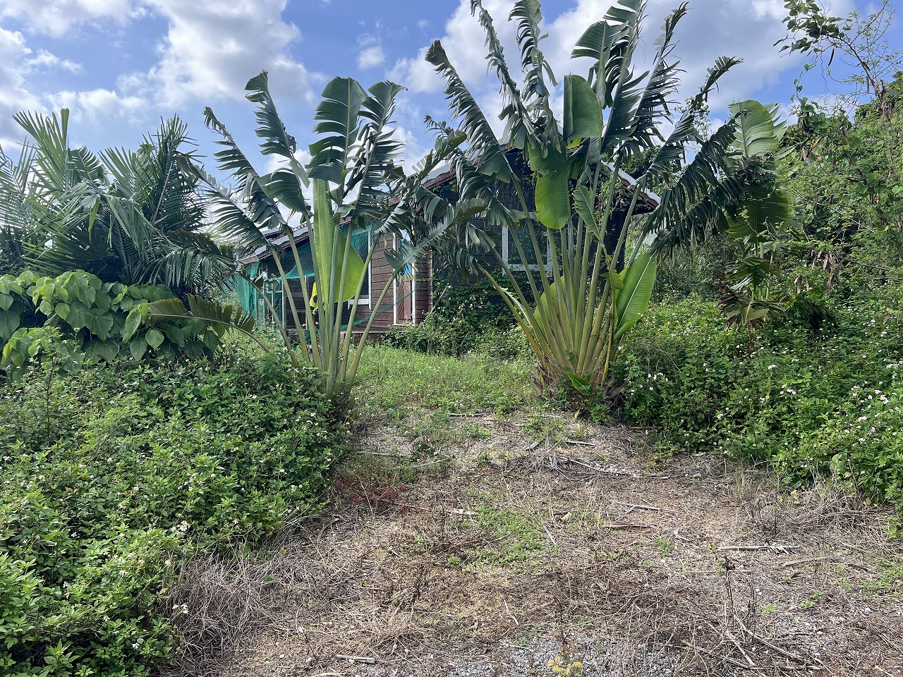 城辺長間 約1,000坪の土地と雄大な景色 木造 コテージ