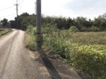 平良下里 JTAドーム南東側　2093坪　畑　農用地