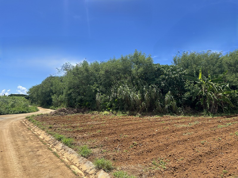 与那覇前浜ビーチ近く　約1,443坪　原野・山林