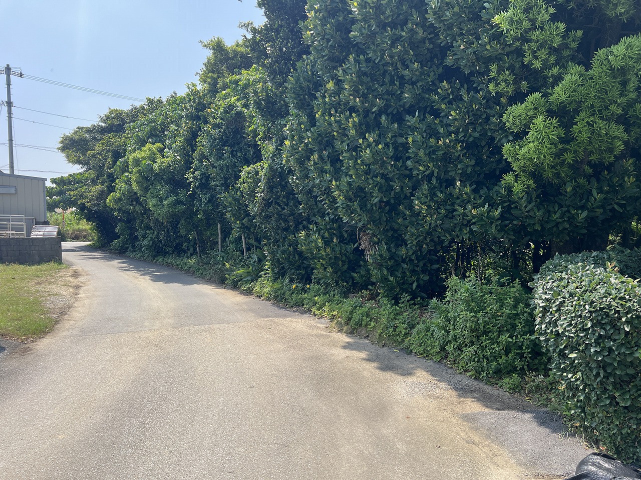 平良腰原Ｌ字型の土地 約222坪 畑