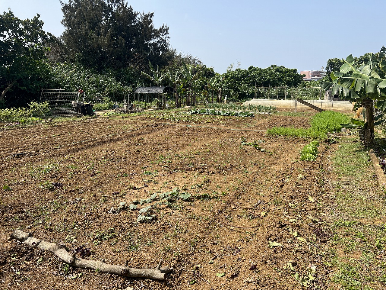 平良下里腰原ひっそりと暮らす　約217坪　原野