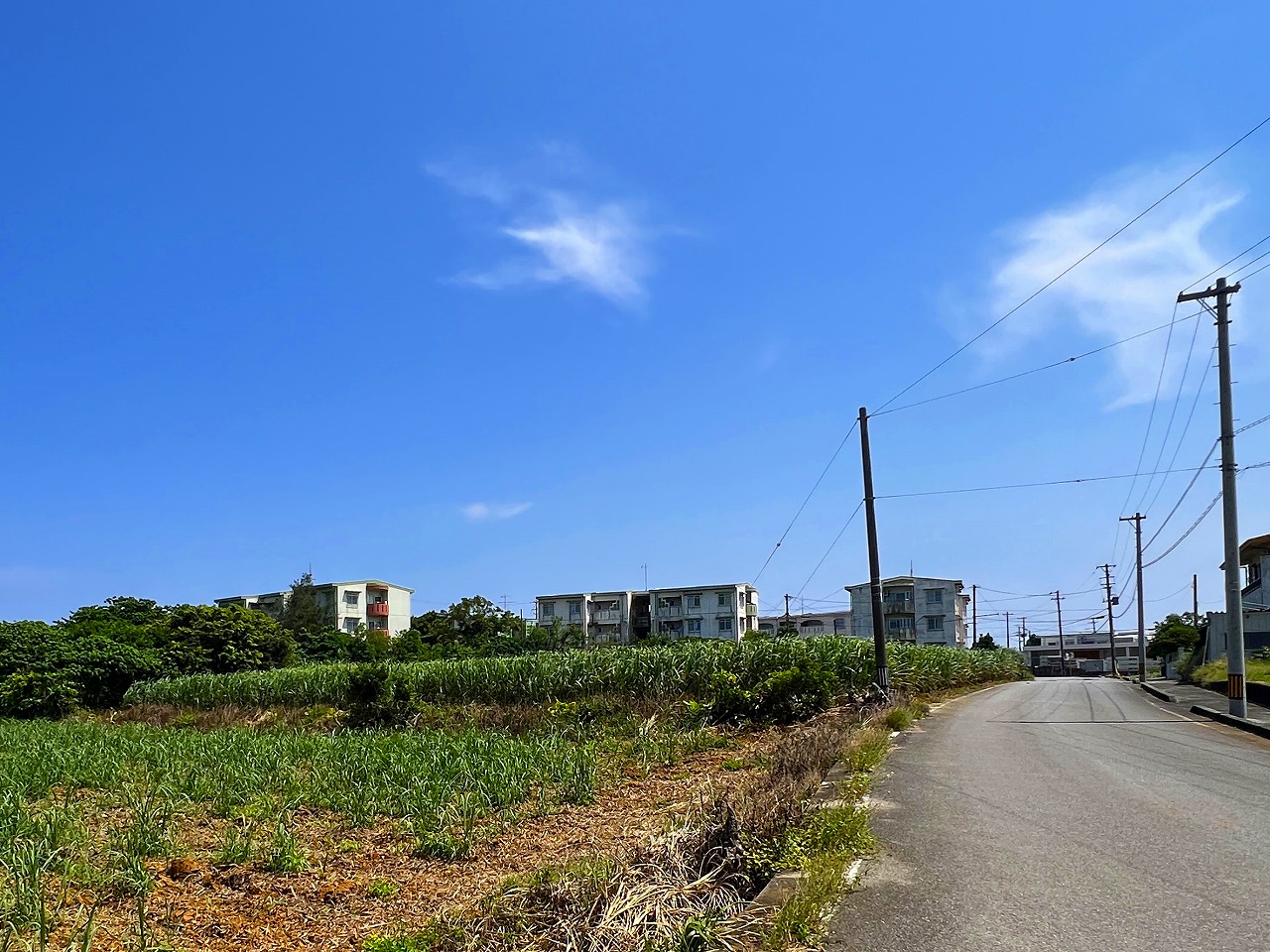 城辺福里団地横の土地　約529坪　畑