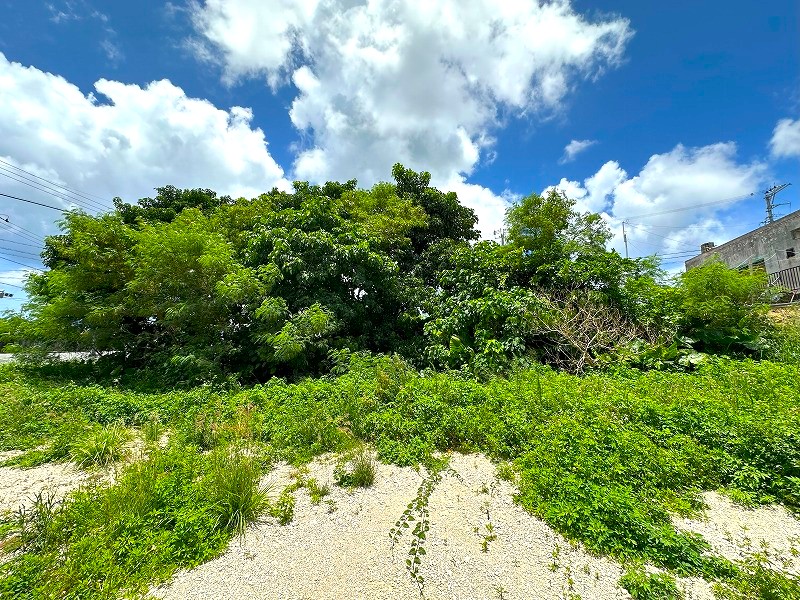 平良西仲宗根　県道83号線沿い　約194坪　雑種地