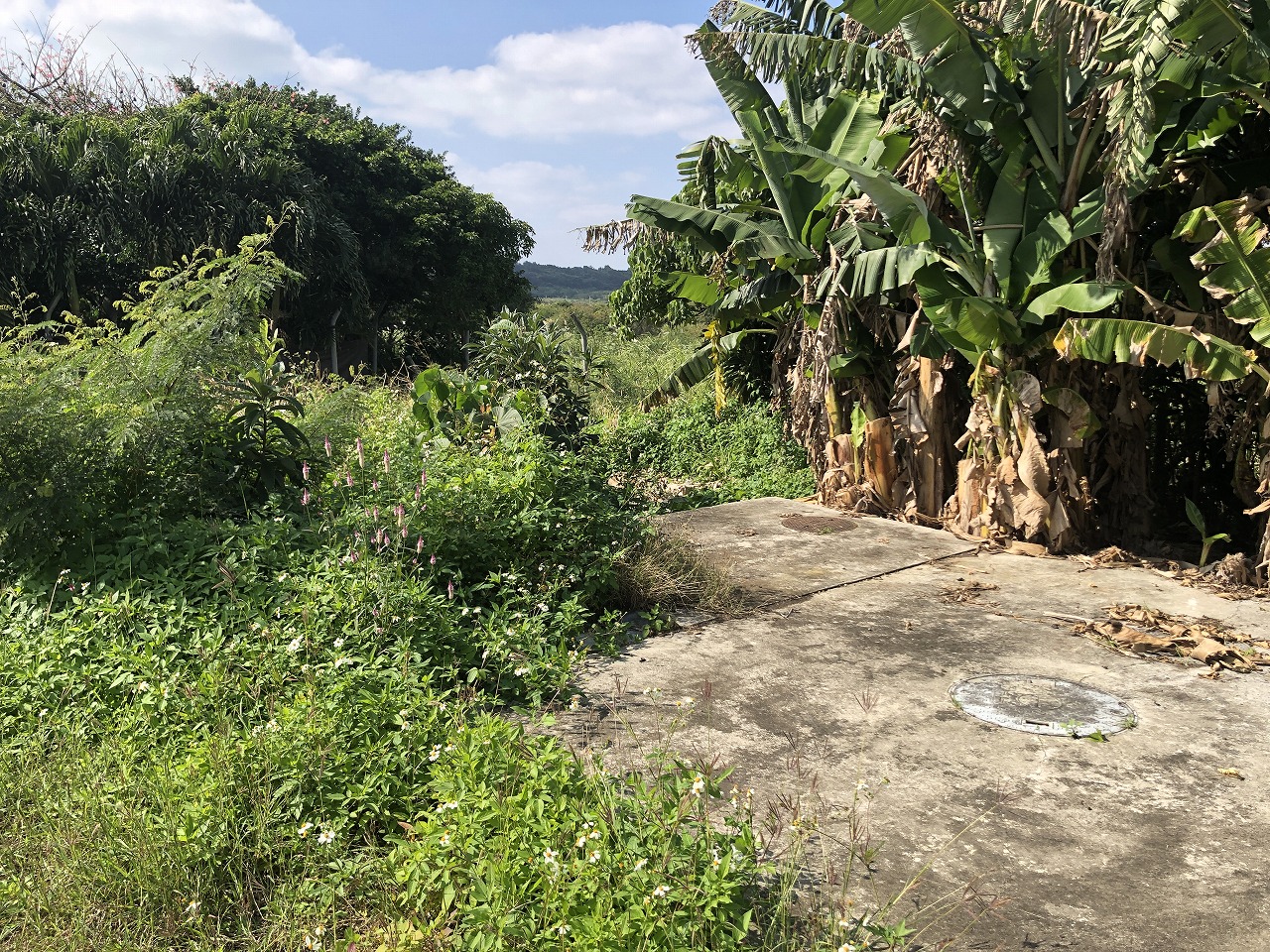 東仲宗根添・旧宮原小学校近くの静かな　約120坪　宅地