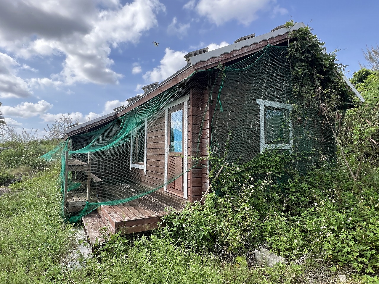 城辺長間 約1,000坪の土地と雄大な景色 木造 コテージ