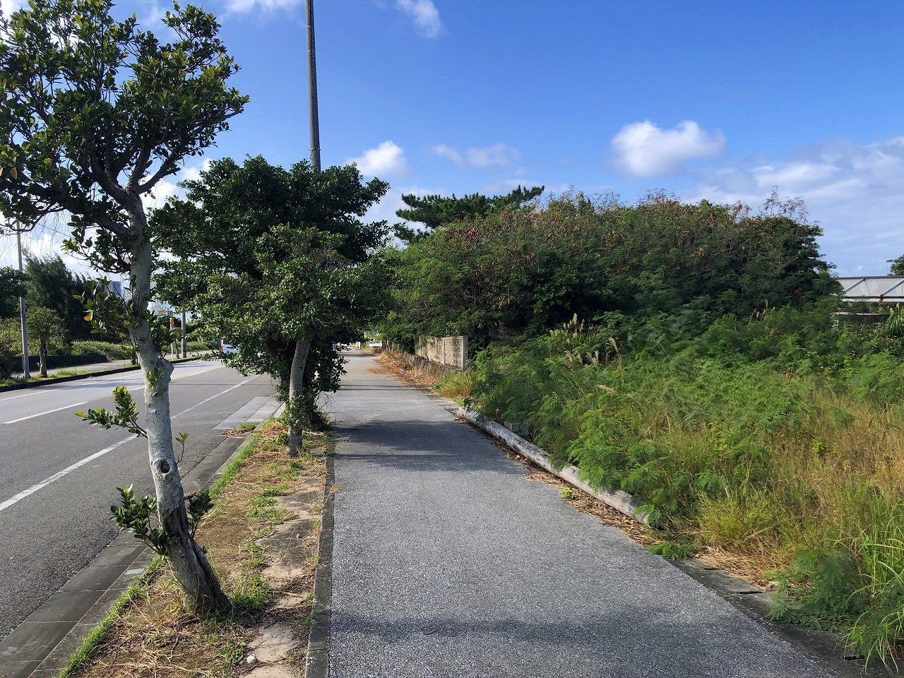 久貝の高台から海と宮古島を一望できる　約312坪　原野