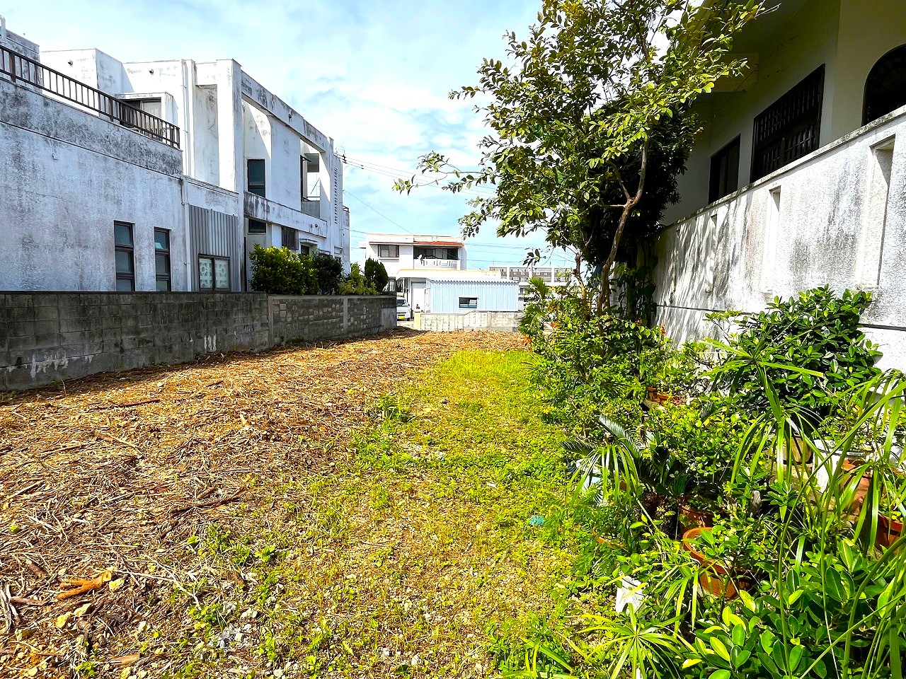 平良下里　大原南公園大通り沿いの角地　約133坪　宅地