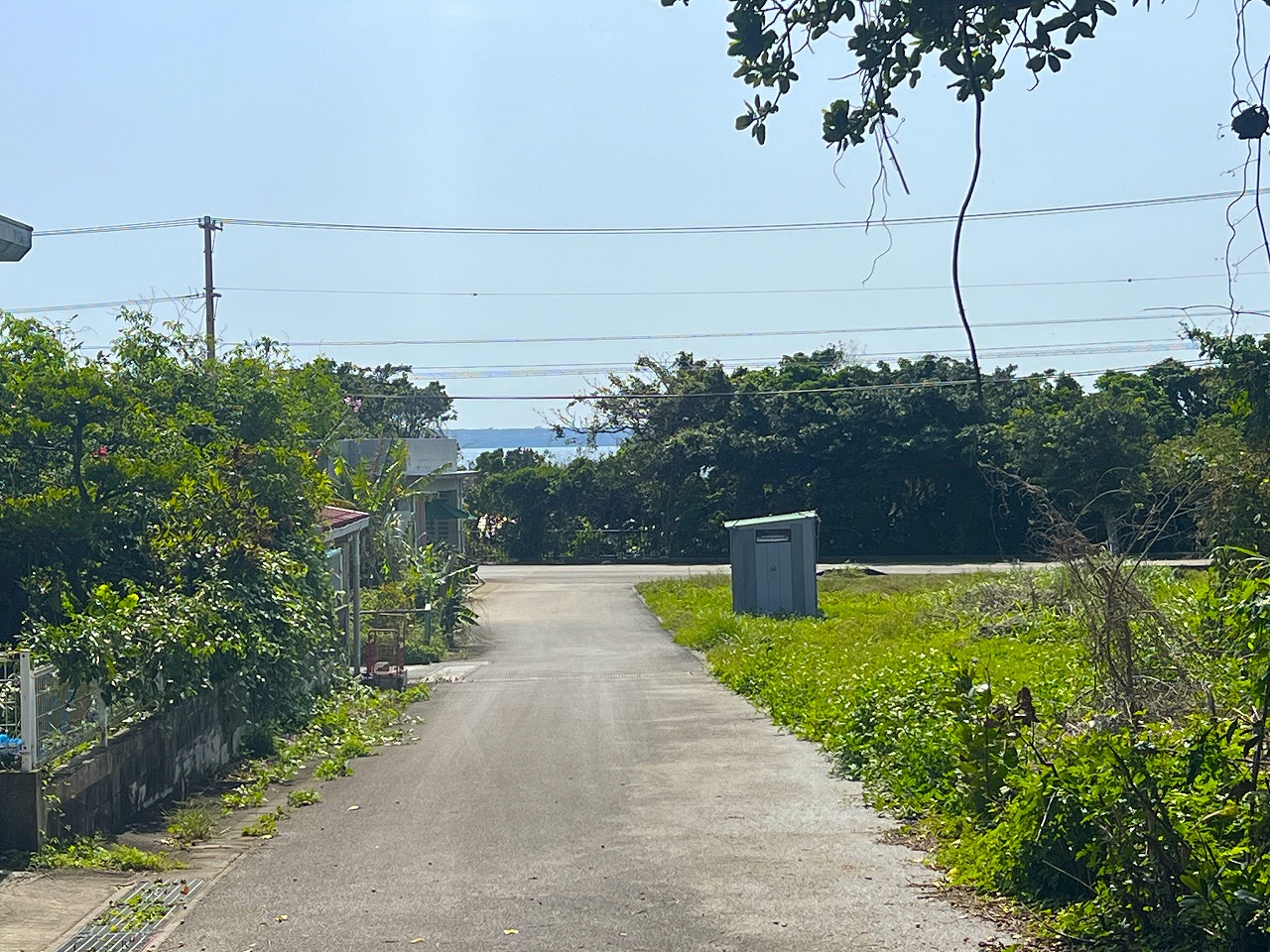 平良狩俣で畑を耕しながら暮らす　約442坪　畑