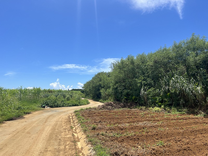 与那覇前浜ビーチ近く　約1,443坪　原野・山林
