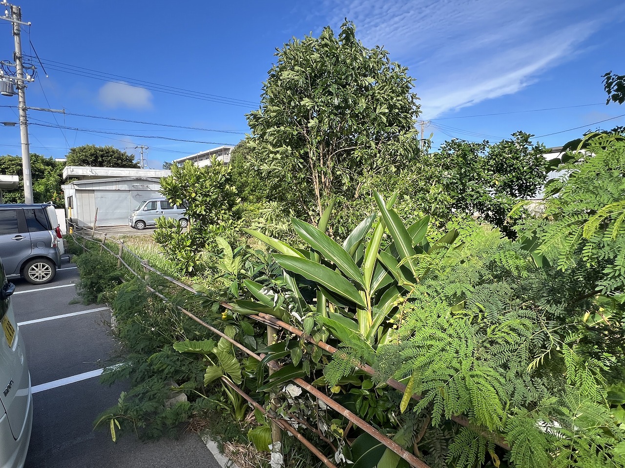 下里七原の間口が広い 134坪 宅地