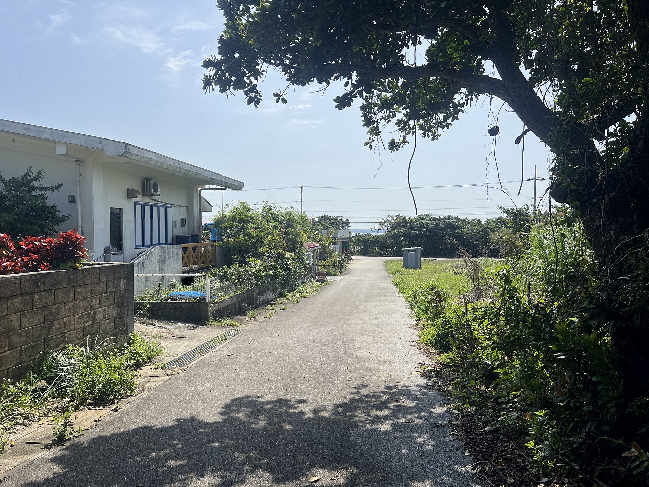 平良狩俣で畑を耕しながら暮らす　約442坪　畑