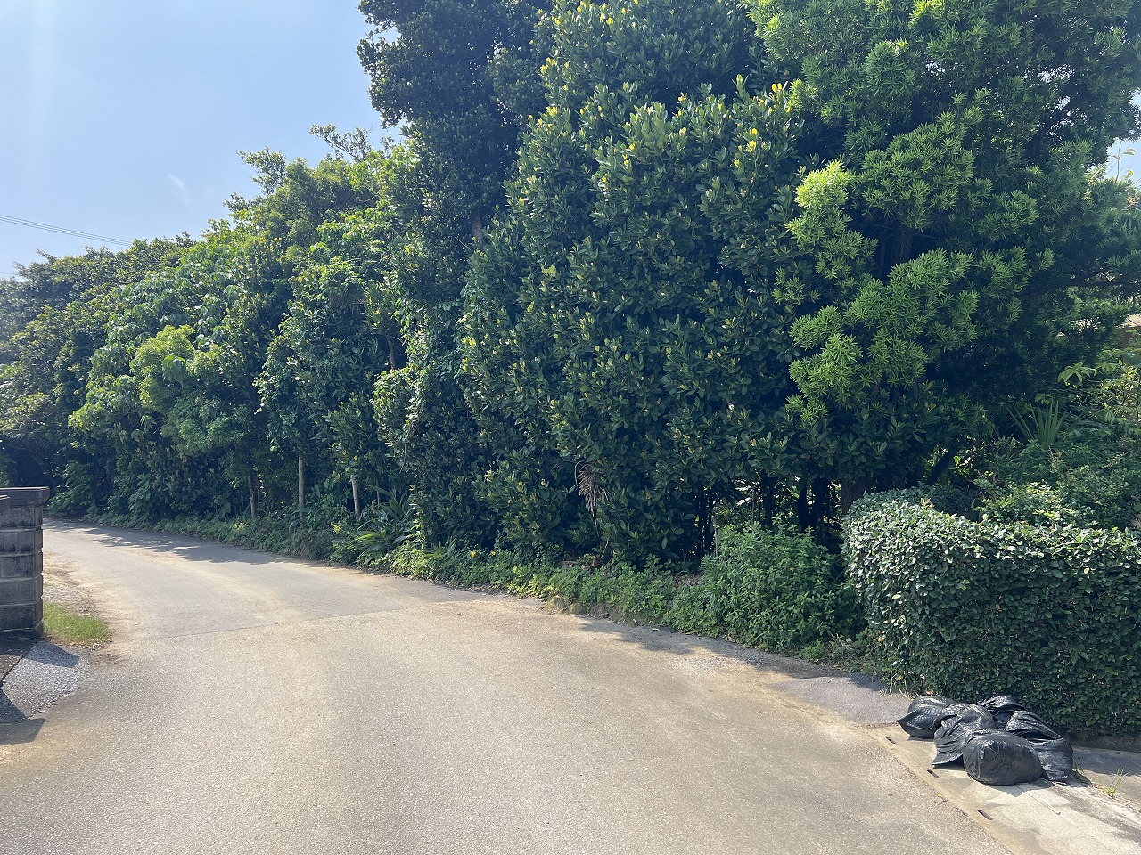 平良腰原Ｌ字型の土地 約222坪 畑