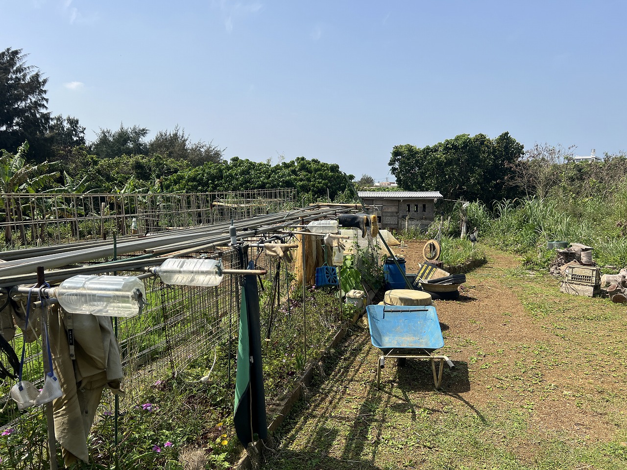 平良下里腰原ひっそりと暮らす　約217坪　原野