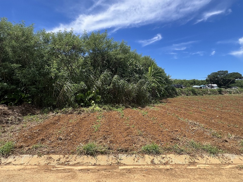 与那覇前浜ビーチ近く　約1,443坪　原野・山林