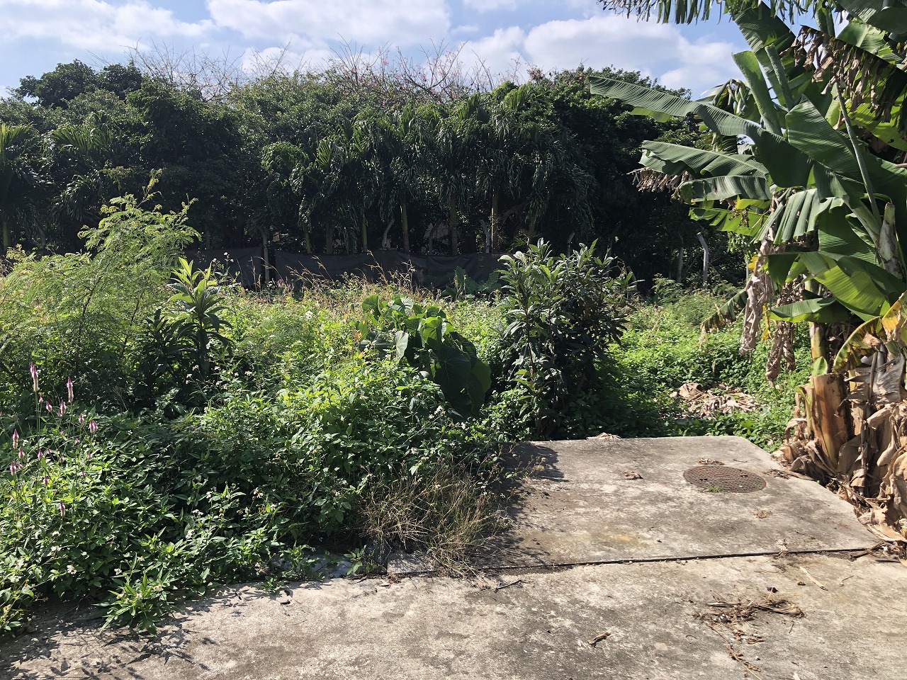 東仲宗根添・旧宮原小学校近くの静かな　約120坪　宅地