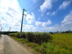 平良西里野原越公民館隣　約148坪　畑