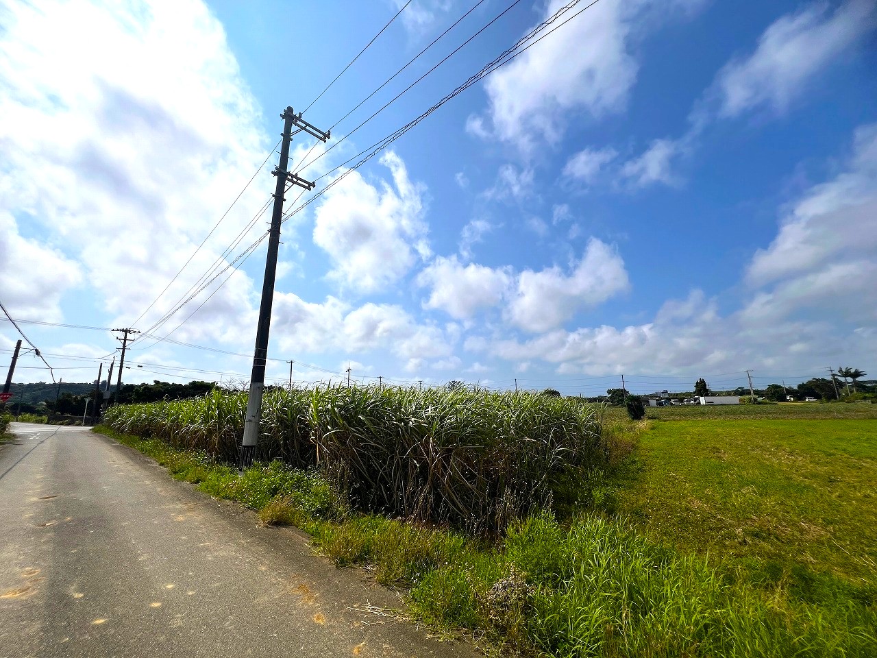 平良西里野原越公民館隣　約148坪　畑