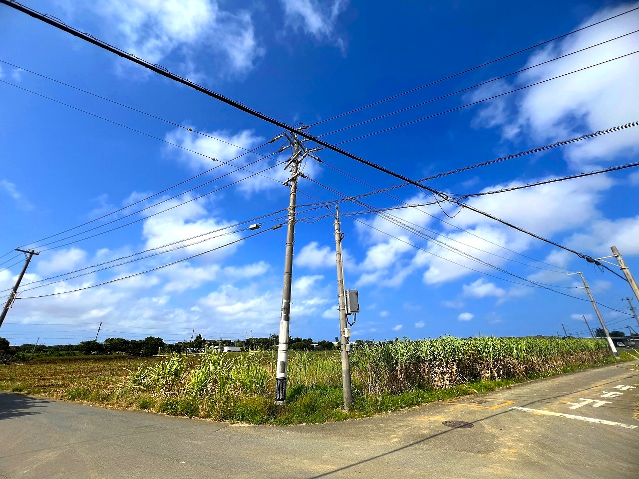 平良西里野原越公民館隣　約151坪　畑