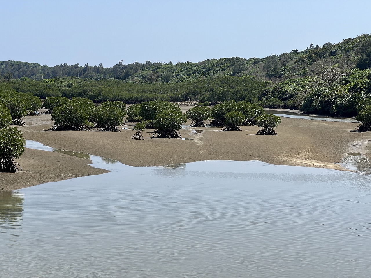 平良狩俣 マングローブ林に面した土地 約880坪 原野
