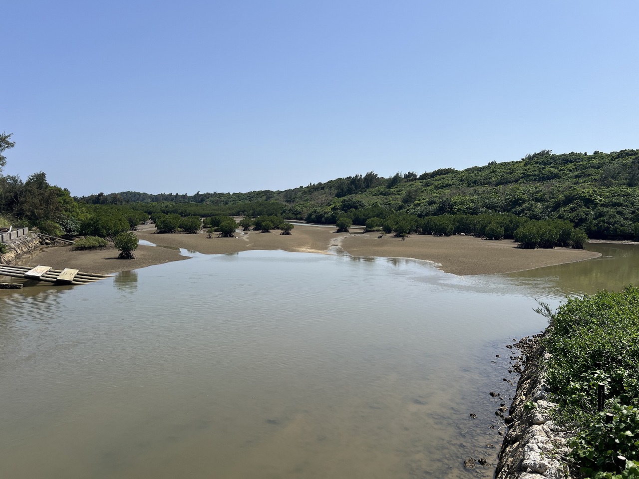 平良狩俣 マングローブ林に面した土地 約880坪 原野