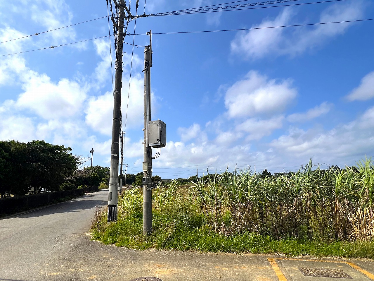 平良西里野原越公民館隣　約151坪　畑