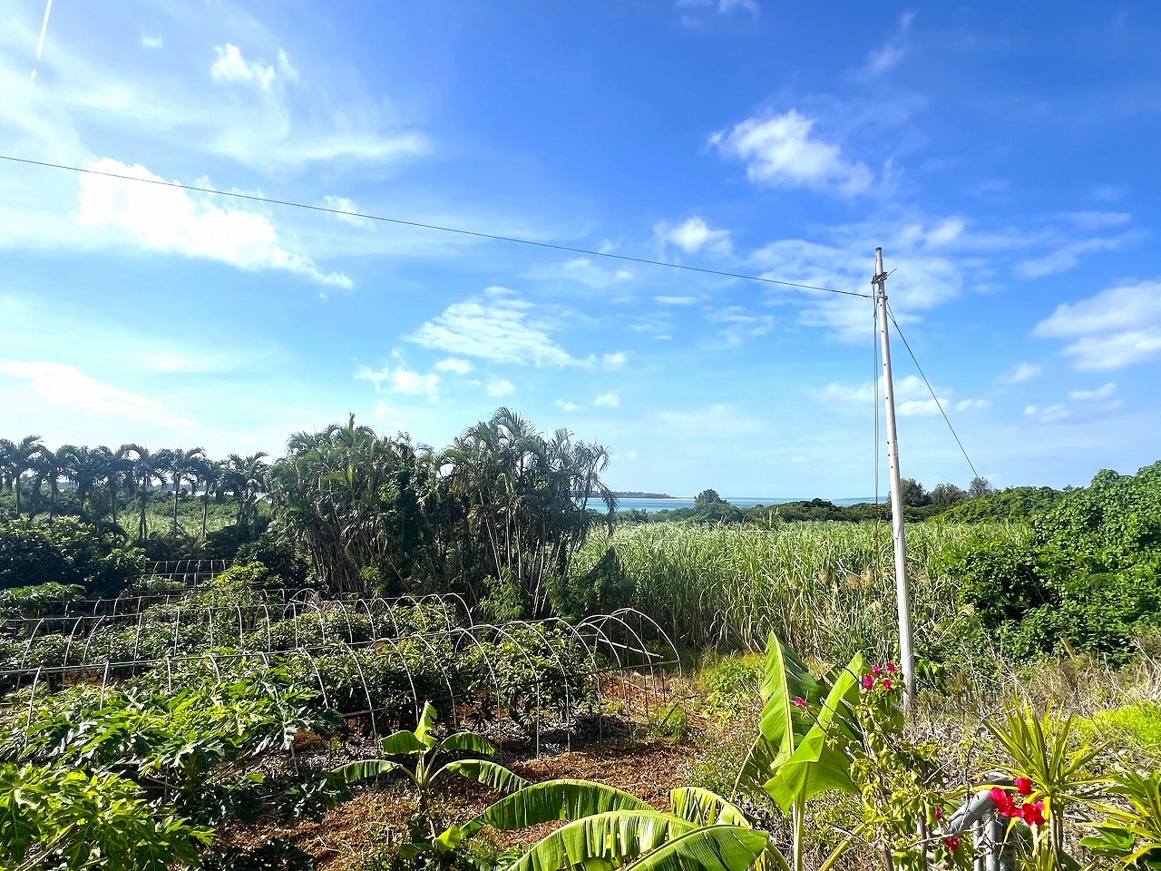 下地川満　川満漁港近く 海が望める 782坪 畑