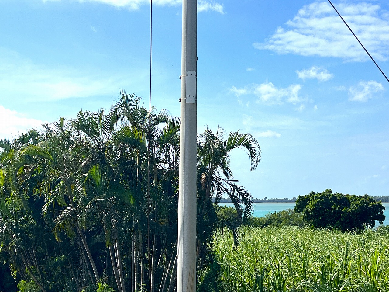 下地川満　川満漁港近く 海が望める 782坪 畑
