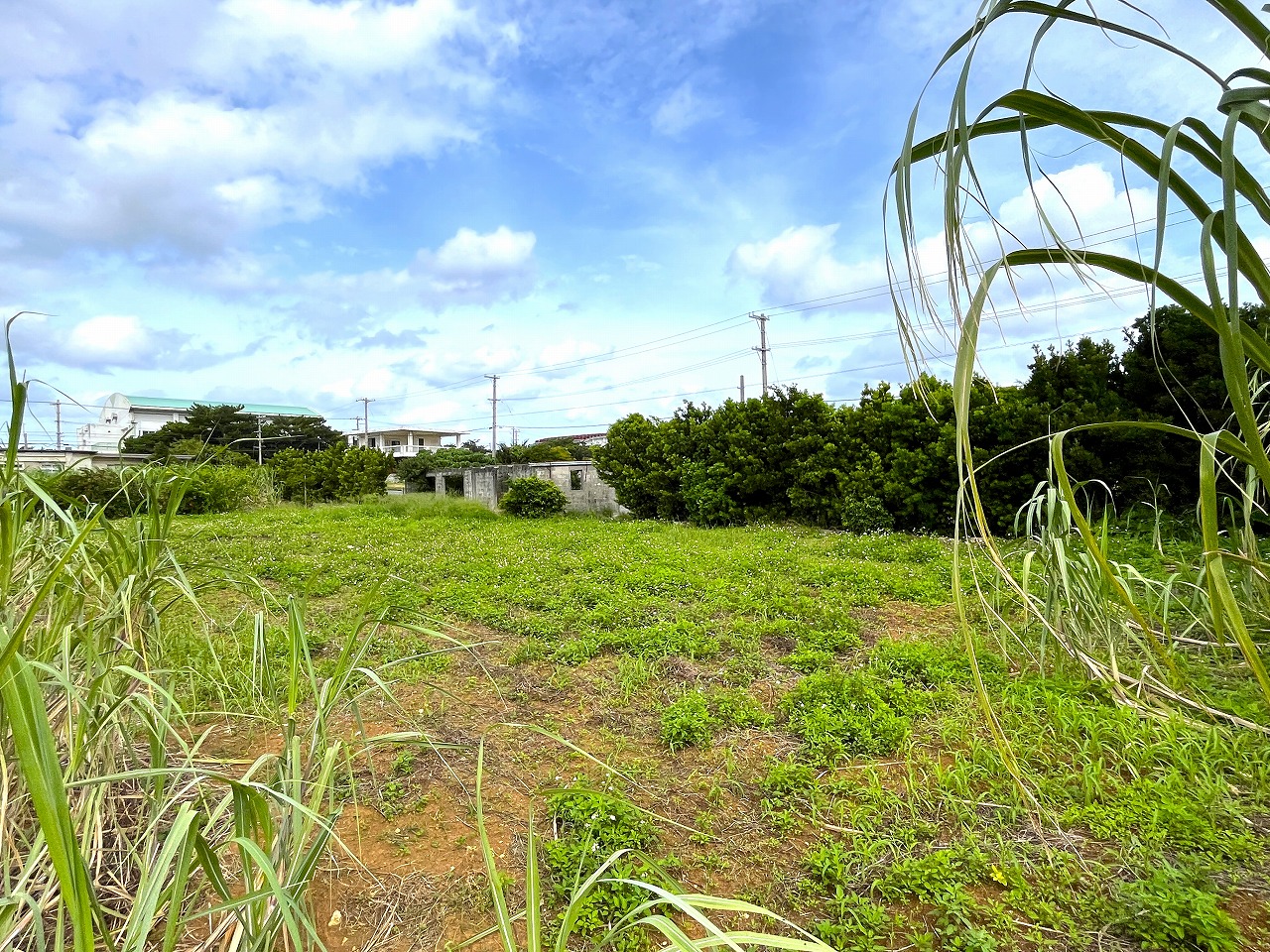 城辺新城　福嶺小近く　954坪　畑　農用地