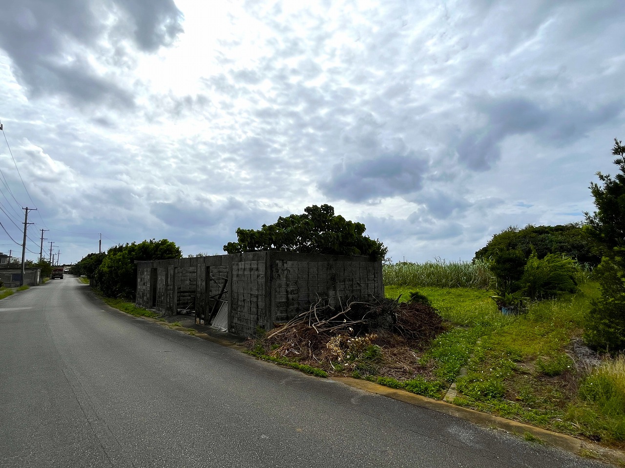 城辺新城　福嶺小近く　954坪　畑　農用地