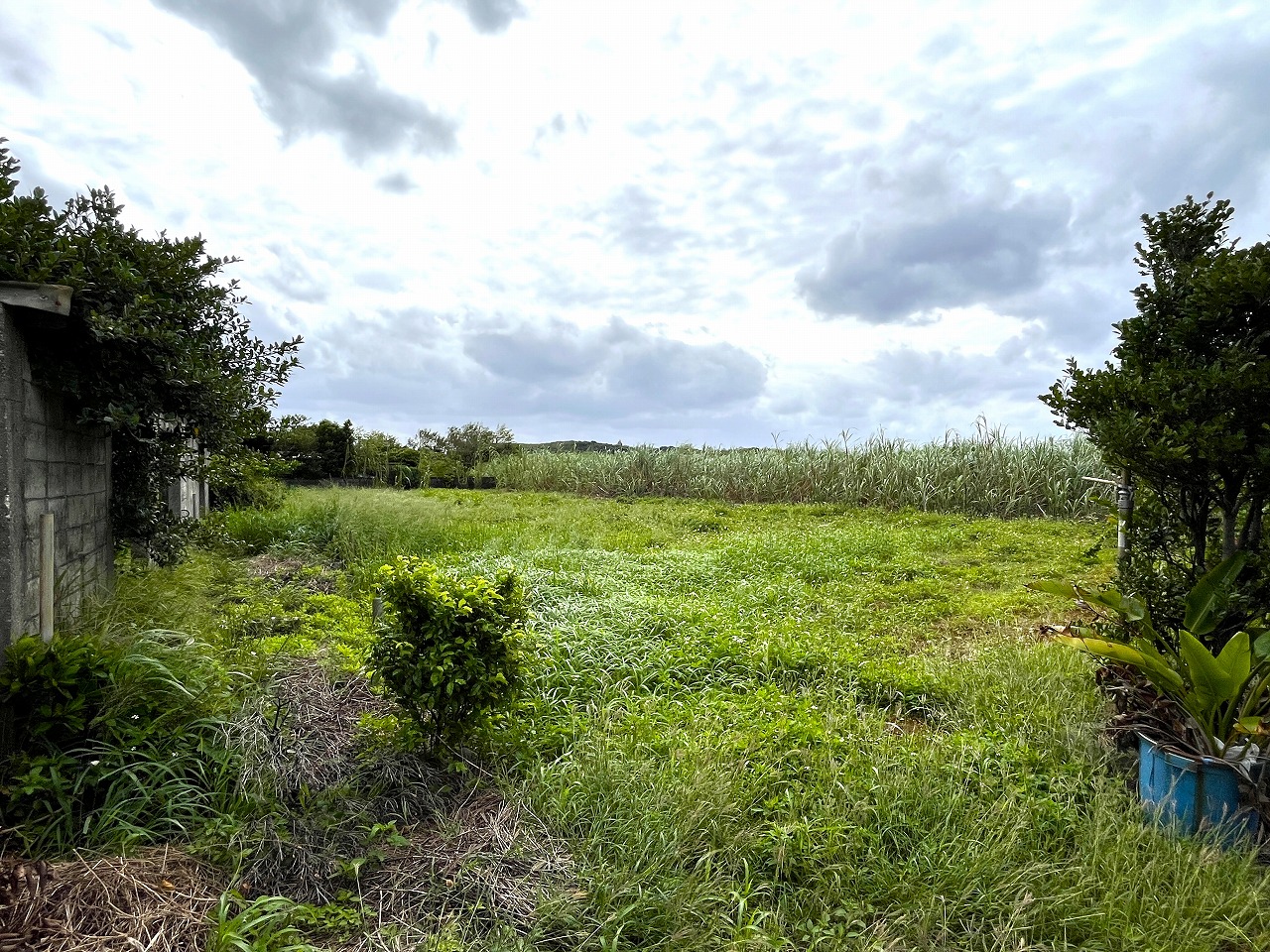 城辺新城　福嶺小近く　954坪　畑　農用地