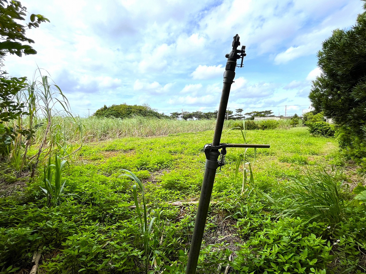 城辺新城　福嶺小近く　954坪　畑　農用地