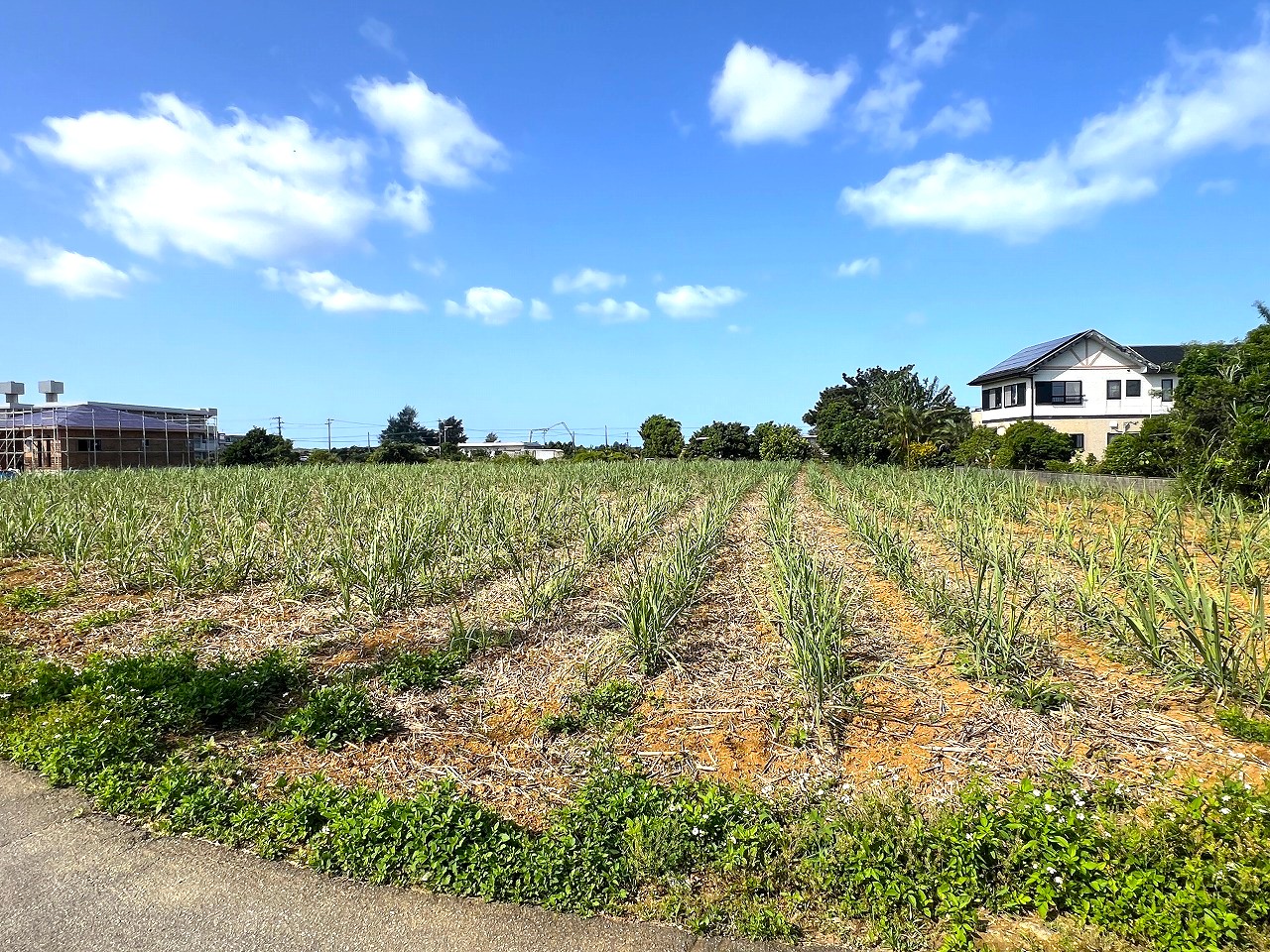 【分筆相談可能】平良下里腰原 市役所に近い住宅用地 1,000坪　畑