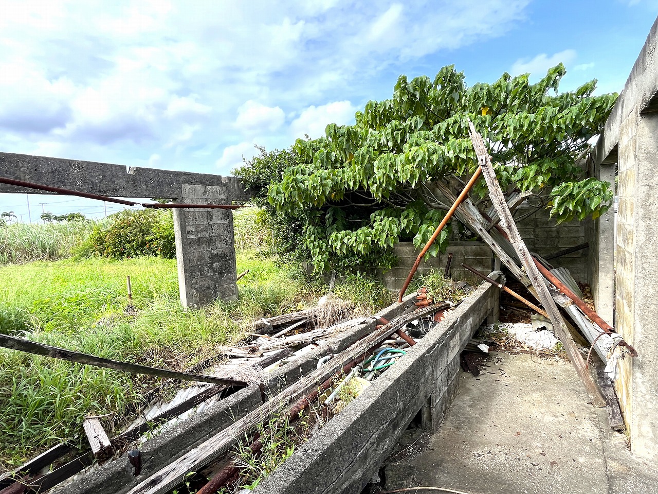 城辺新城　福嶺小近く　954坪　畑　農用地