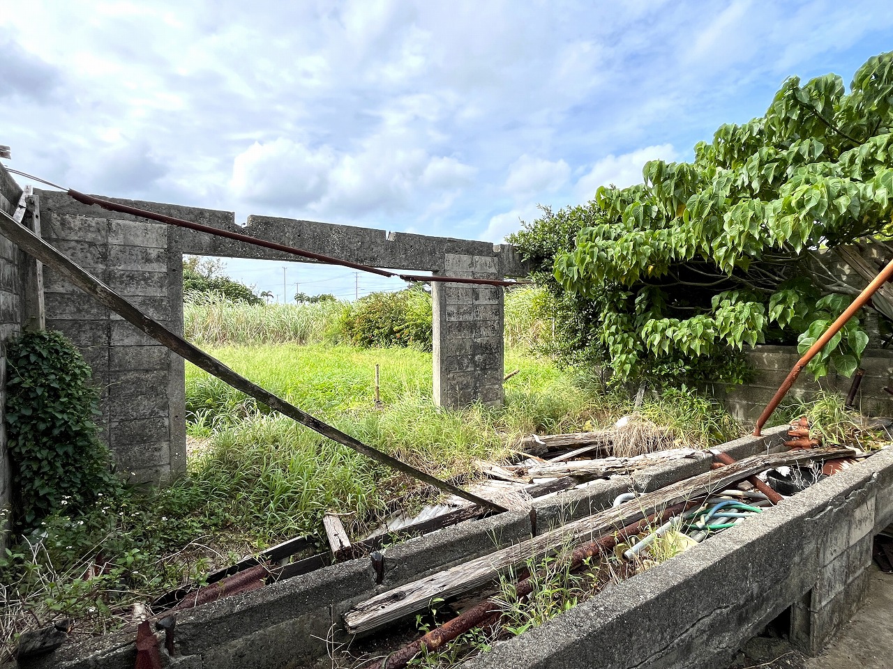 城辺新城　福嶺小近く　954坪　畑　農用地