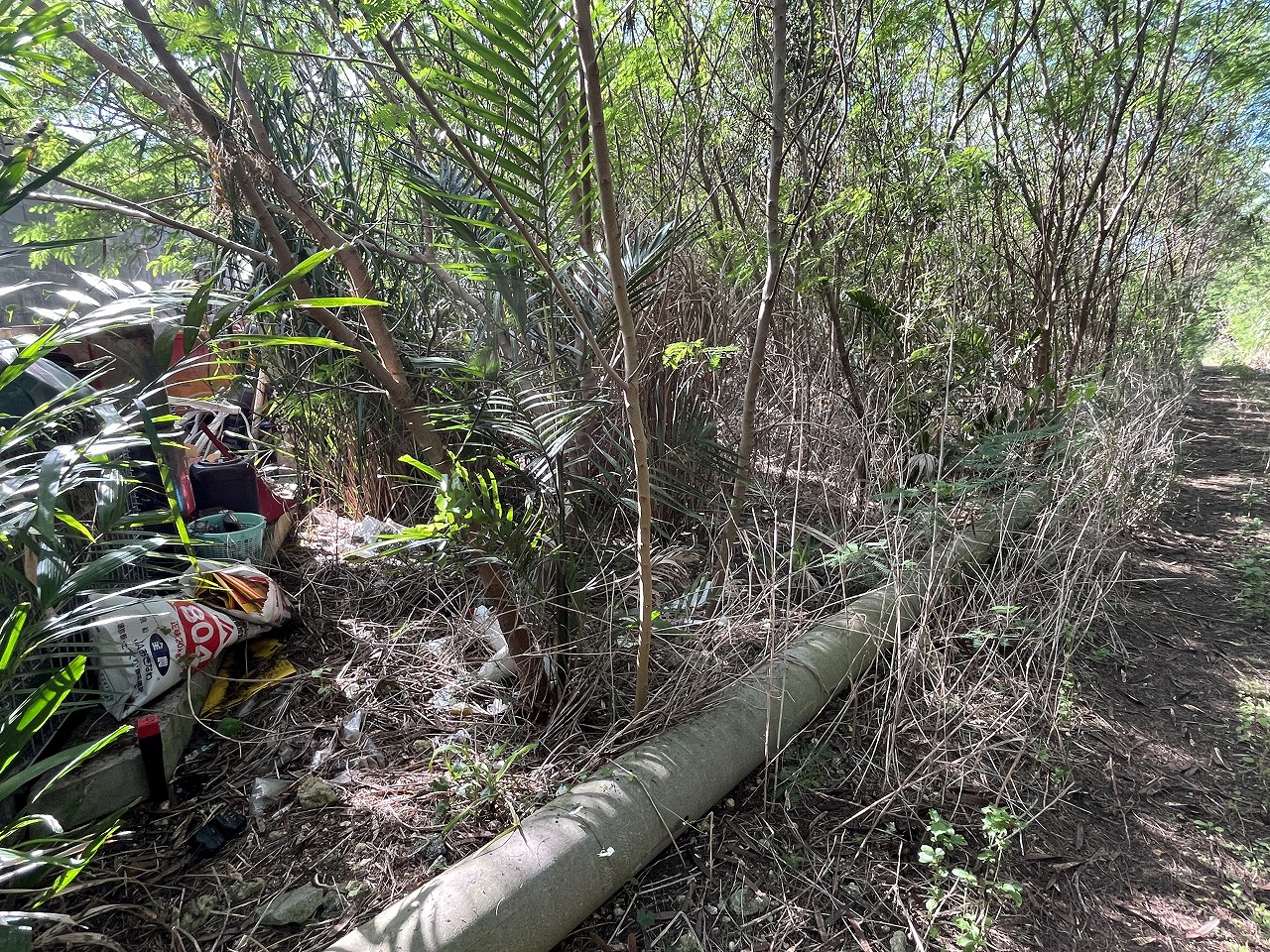 伊良部字国仲　市営伊良部新生団地近く 198坪 畑
