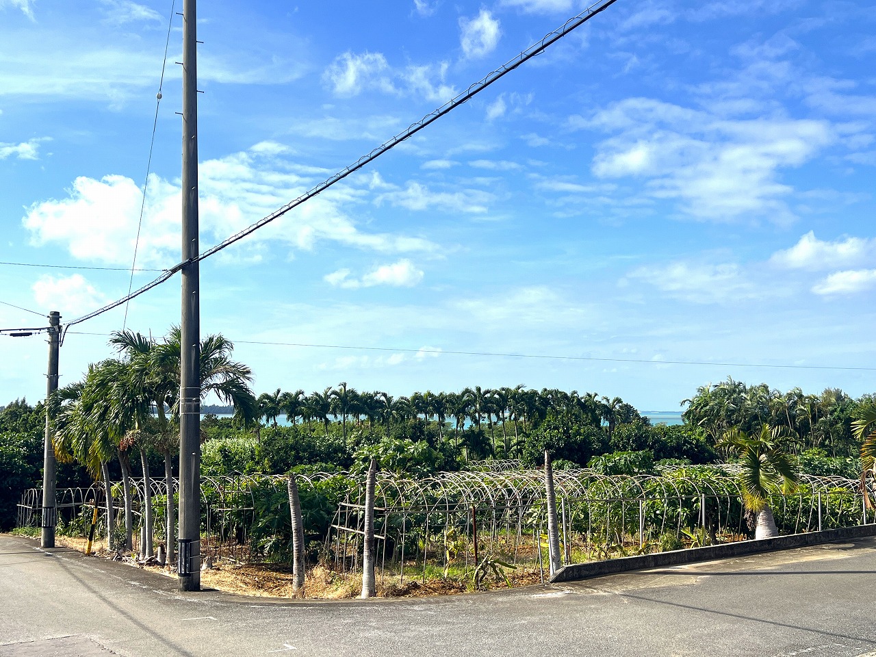 下地川満　川満漁港近く 海が望める 782坪 畑