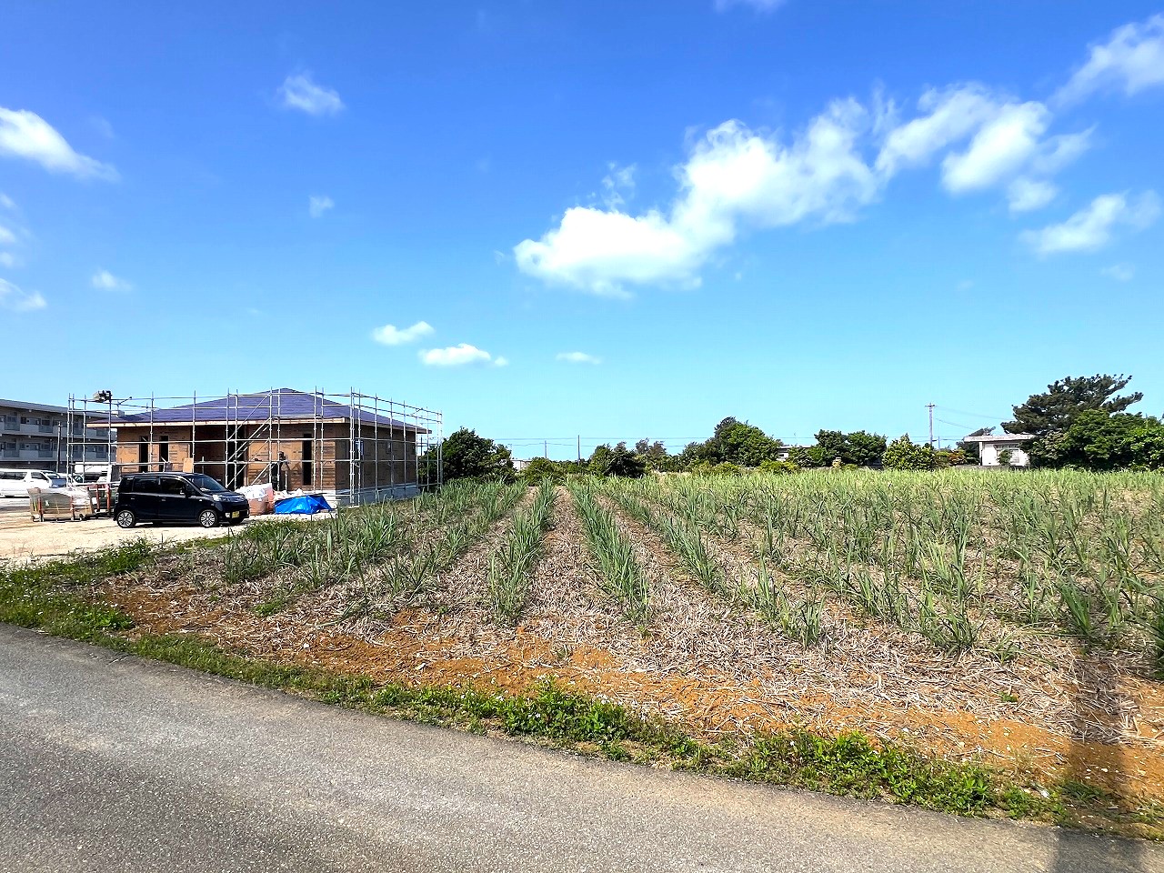 【分筆相談可能】平良下里腰原 市役所に近い住宅用地 1,000坪　畑