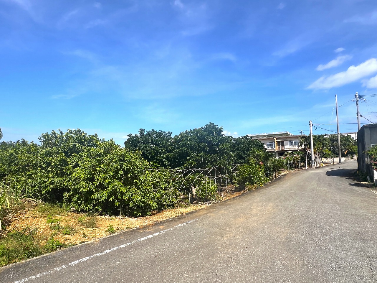 下地川満　川満漁港近く 海が望める 782坪 畑