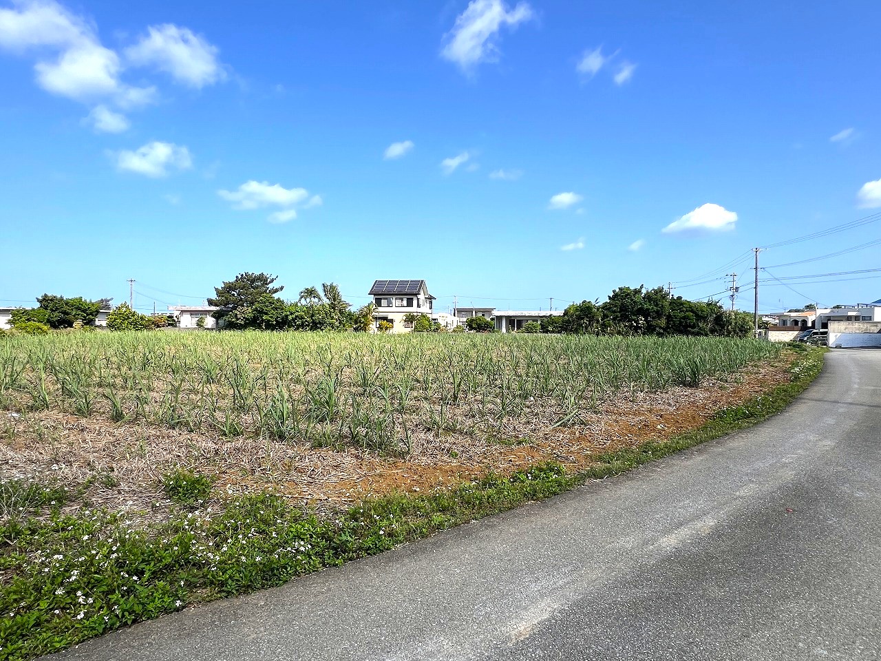 【分筆相談可能】平良下里腰原 市役所に近い住宅用地 1,000坪　畑