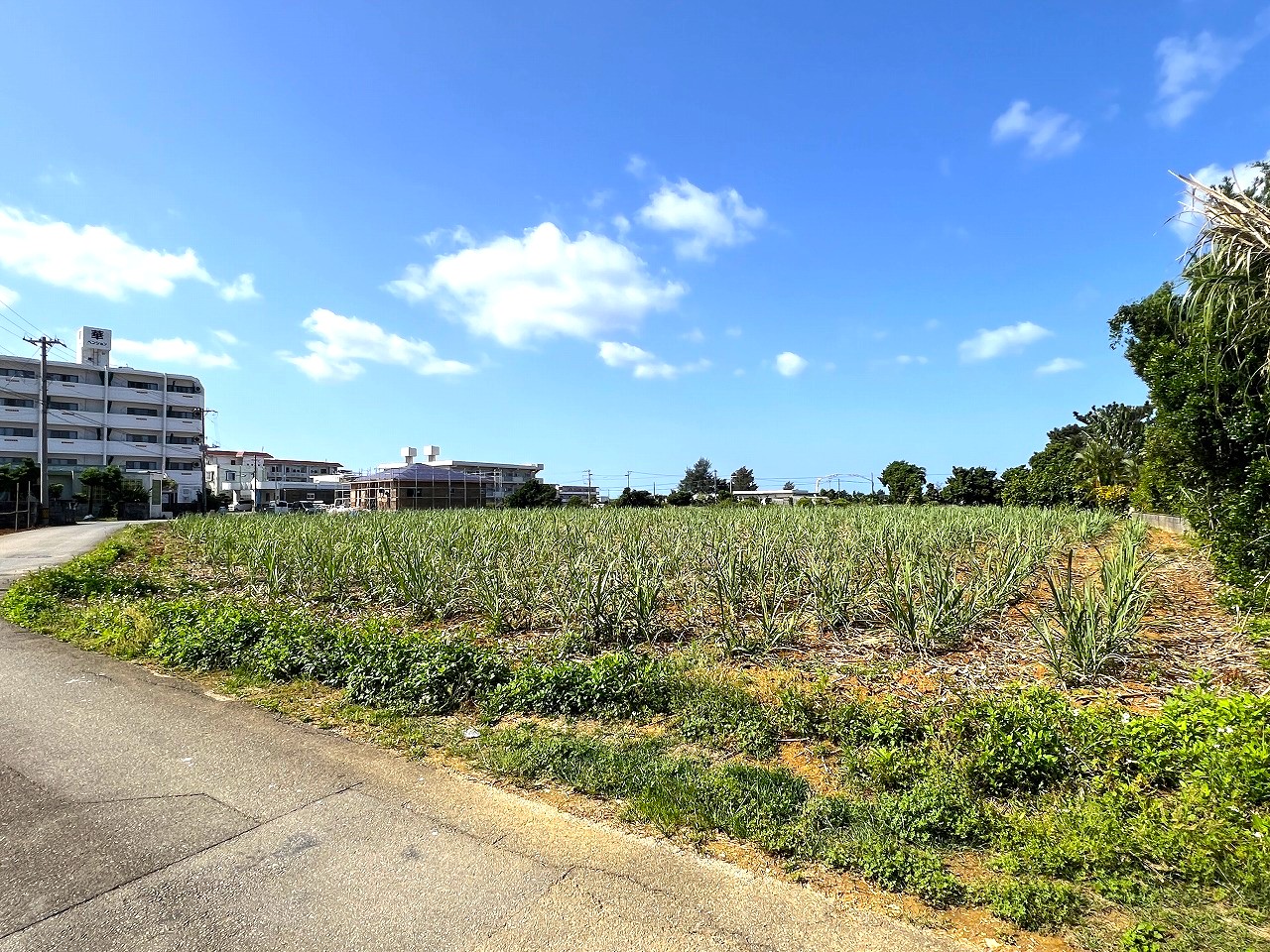 【分筆相談可能】平良下里腰原 市役所に近い住宅用地 1,000坪　畑