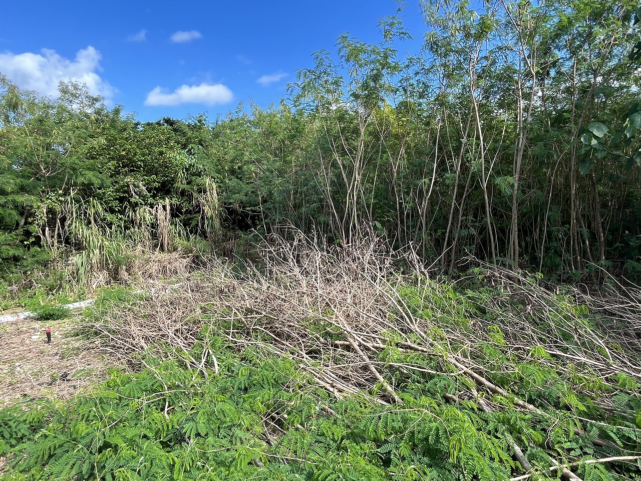 伊良部字国仲　市営伊良部新生団地近く 198坪 畑